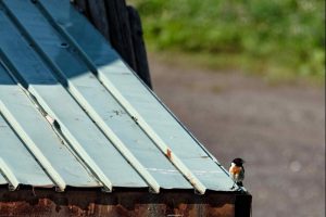 Flat Roof Installation